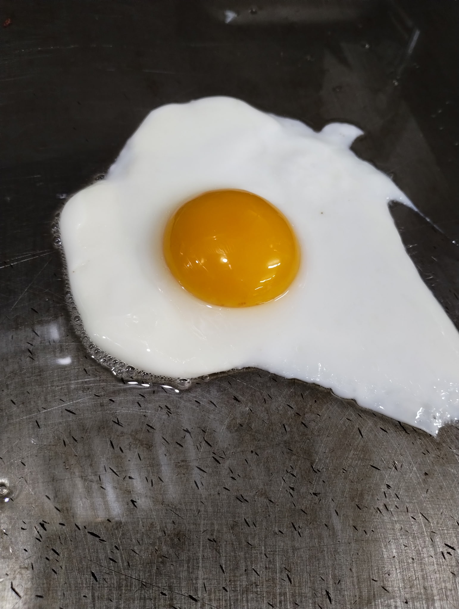 The Savory Skillet Fitchburg MA